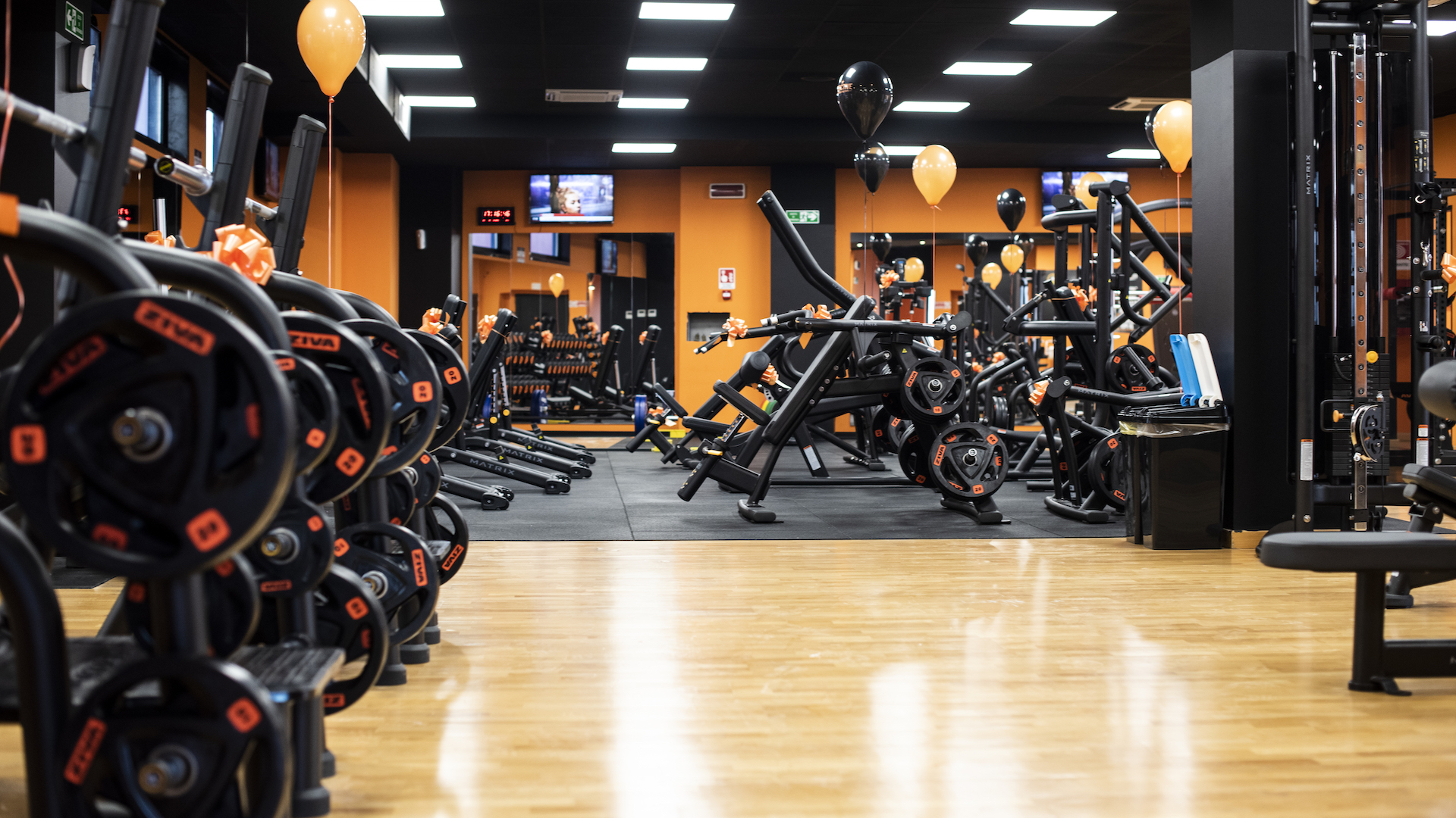 FitActive Pavia