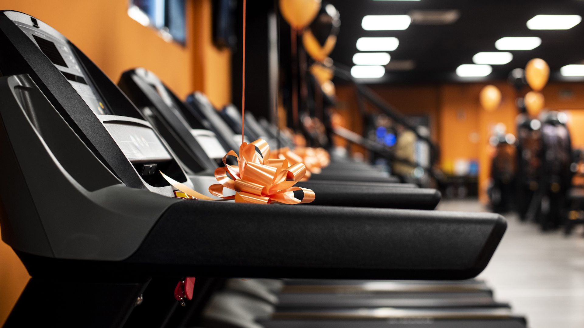 FitActive Pavia