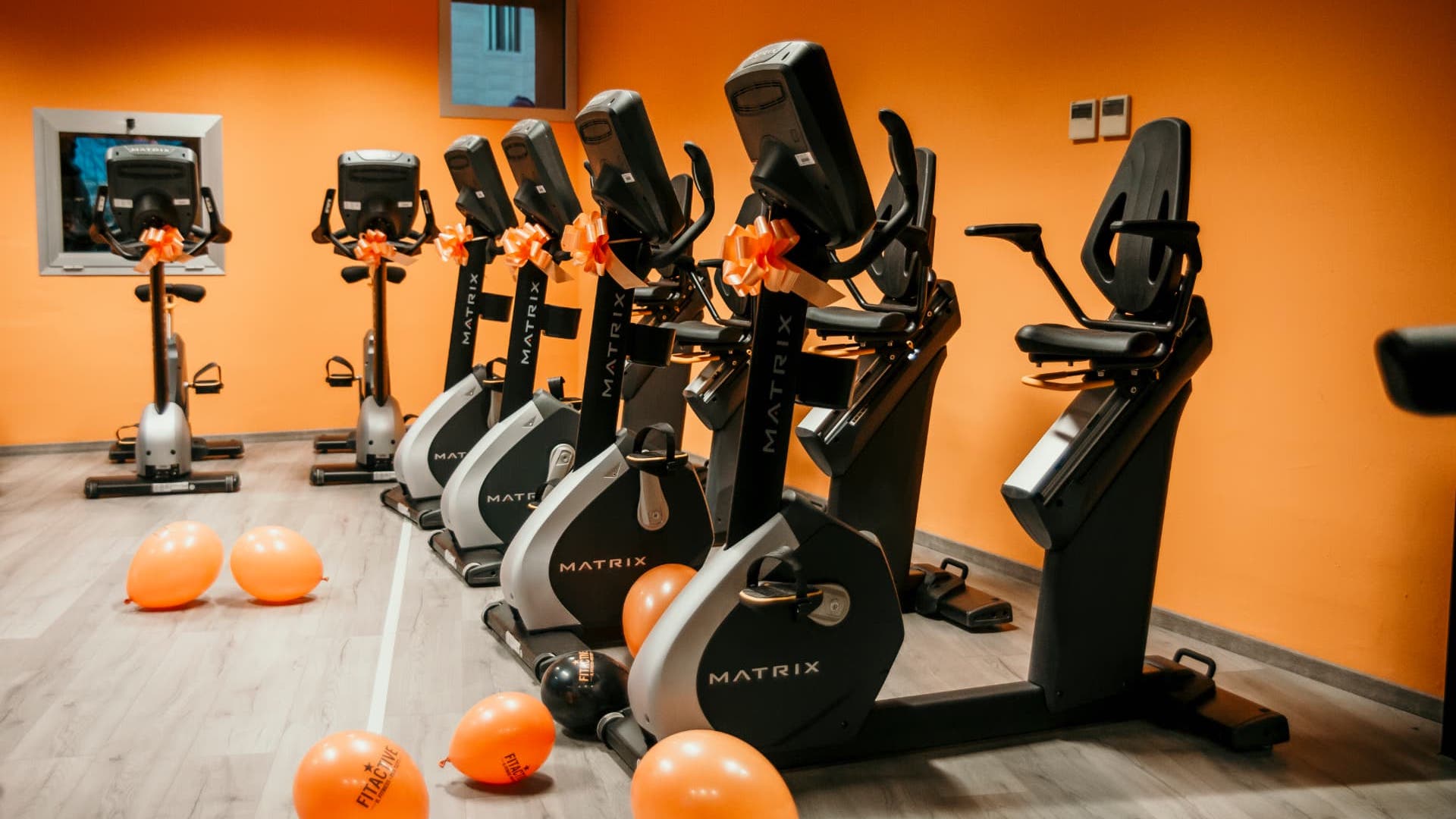 FitActive Pero