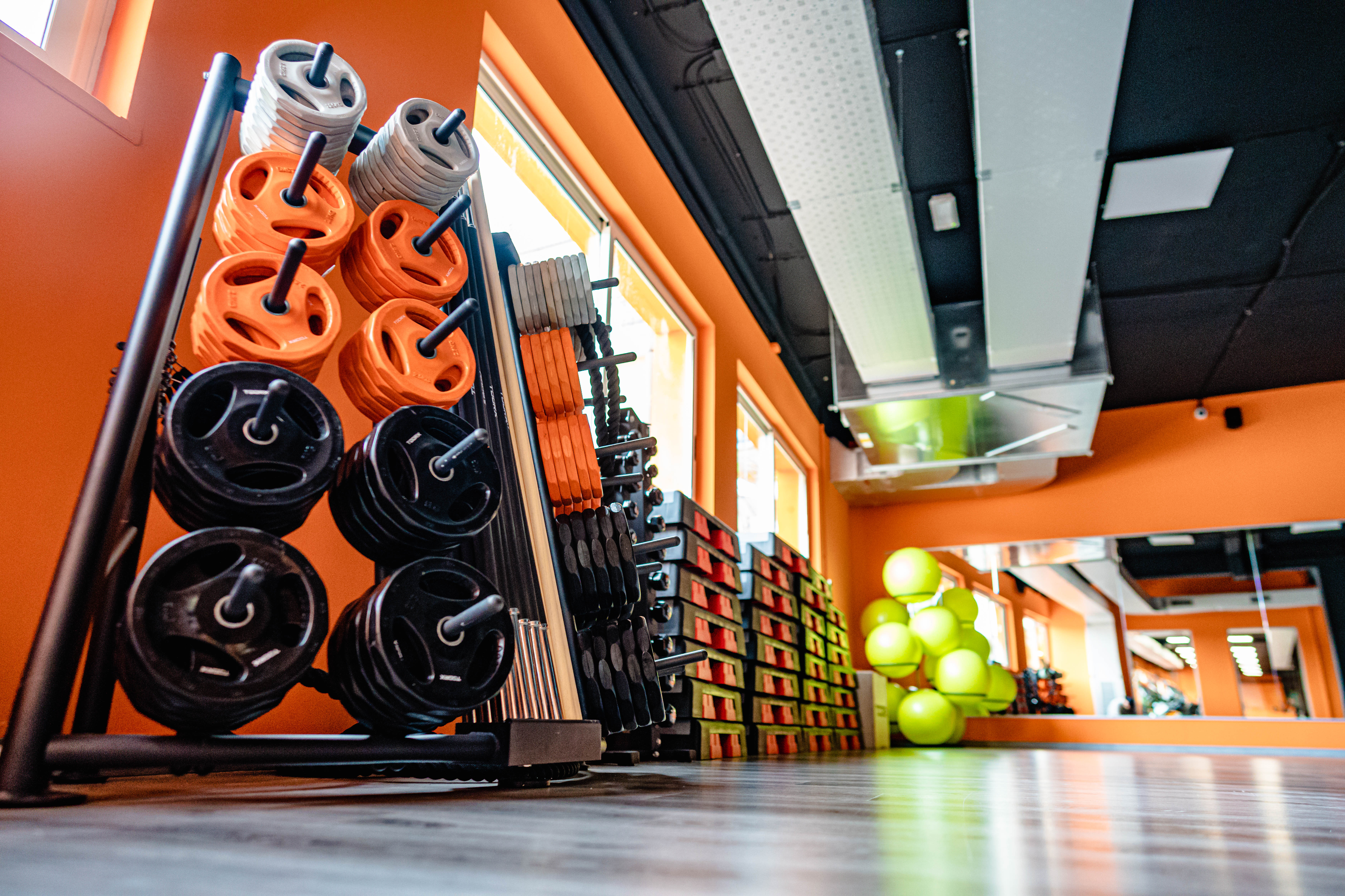 FitActive Roma Pisana