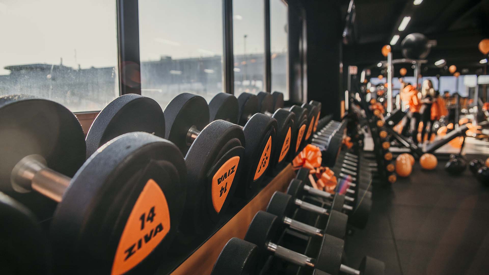 FitActive San Giuliano Milanese