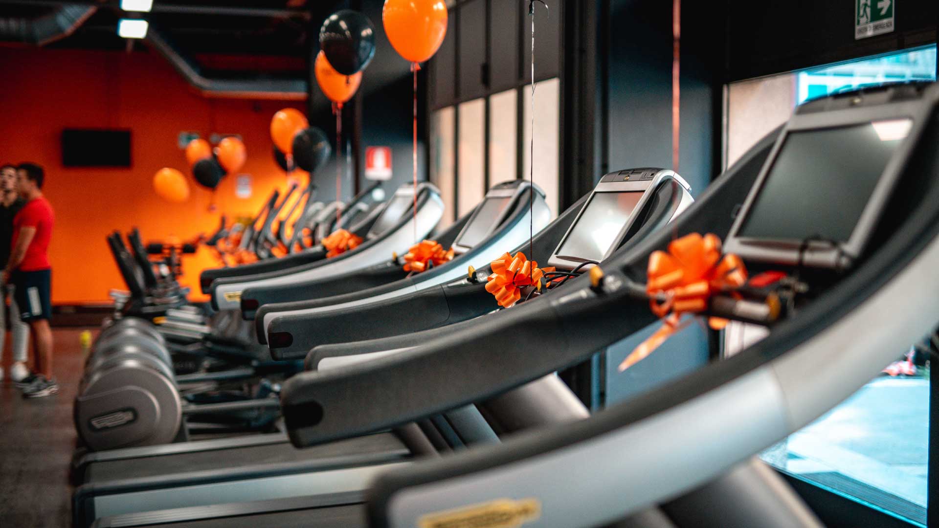FitActive Torino Bruno