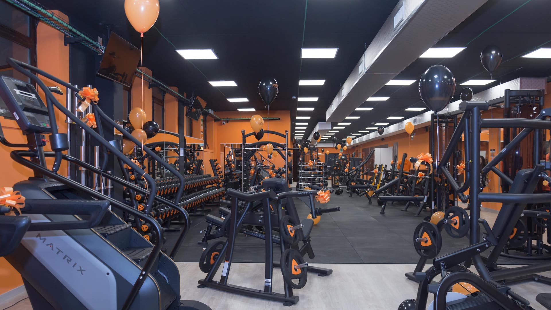 FitActive Venaria