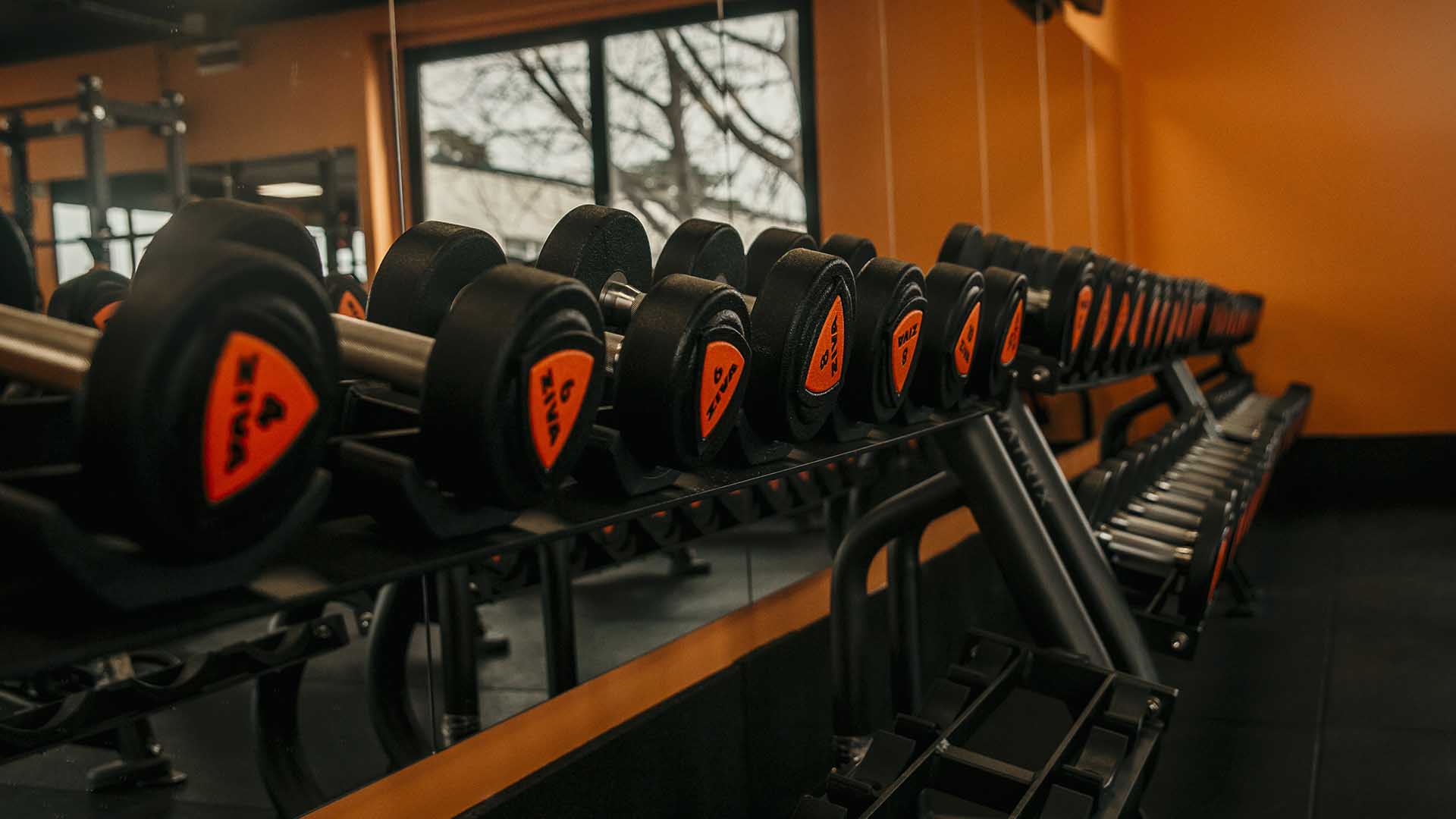 FitActive Vertemate